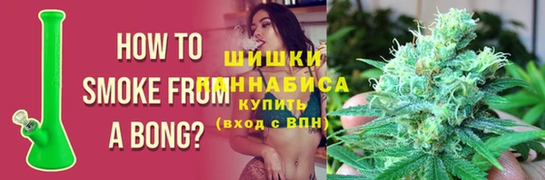шишки Верхний Тагил
