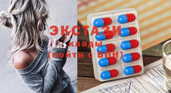 индика Бронницы
