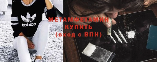 шишки Верхний Тагил