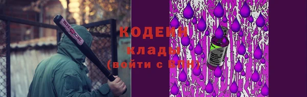индика Бронницы