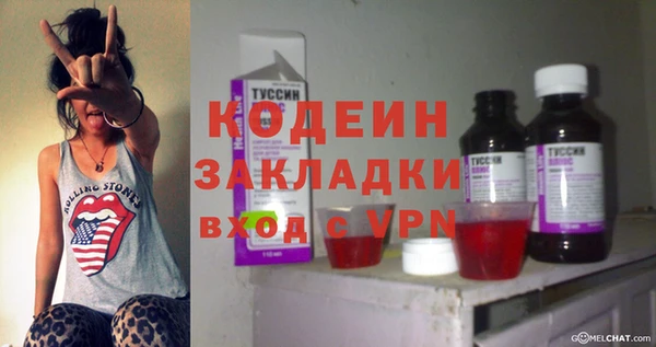 спиды Бородино