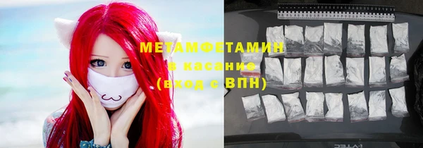 шишки Верхний Тагил