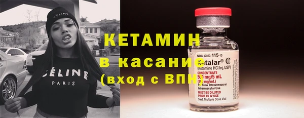шишки Верхний Тагил