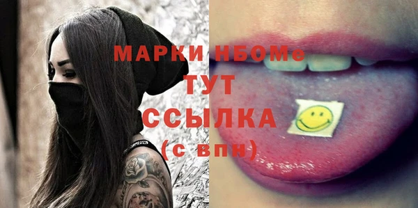 шишки Верхний Тагил