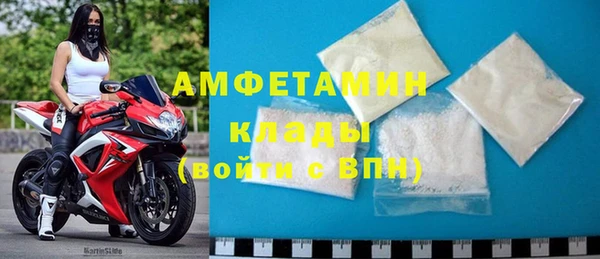 спиды Бородино