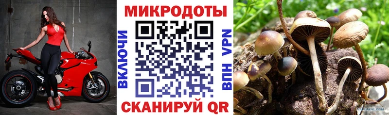 Купить закладки  Лениногорск  Псилоцибиновые грибы прущие грибы 