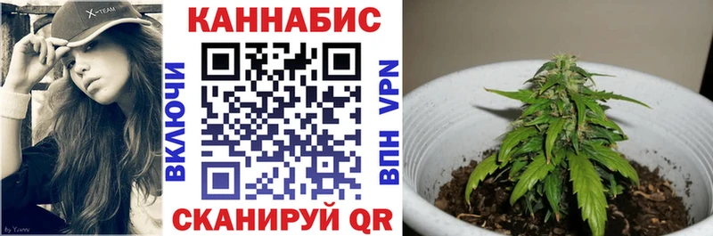 Купить закладки  Лениногорск  Бошки Шишки MAZAR 
